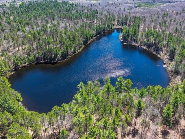 House for sale in Vilas, Wisconsin