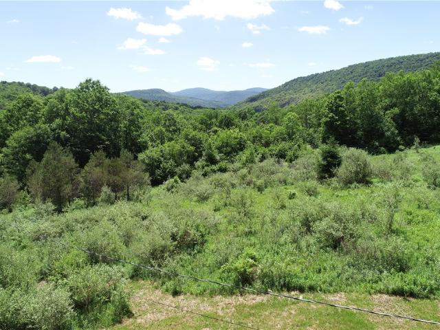 Land for sale in Andes, New York