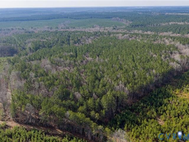 Land for sale in Dinwiddie County, Virginia
