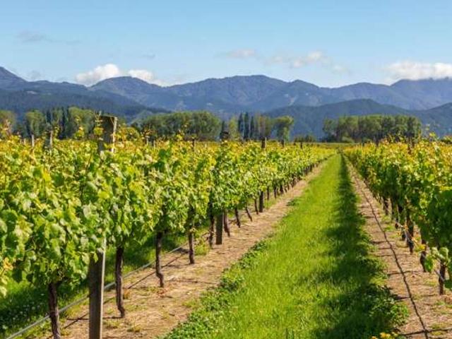 House for sale in Spring Creek, Marlborough