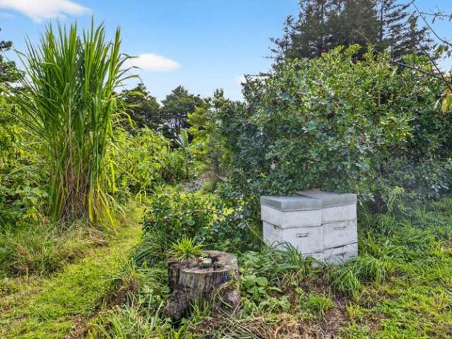 Property for sale in Kaiwaka, Northland
