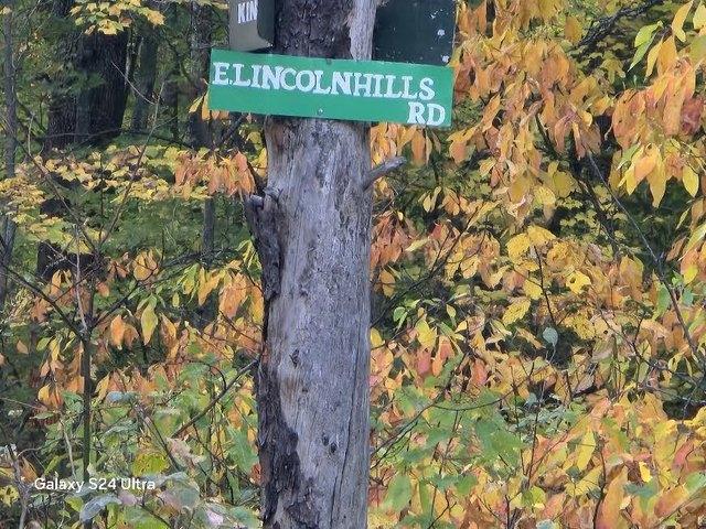 Land for sale in Luther, Lake County