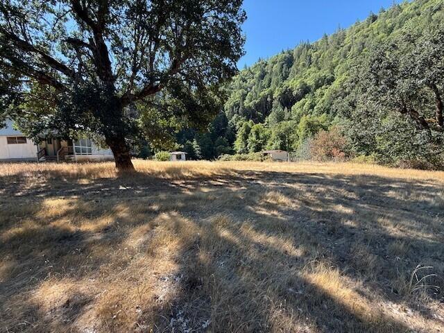 Land for sale in Douglas City, California