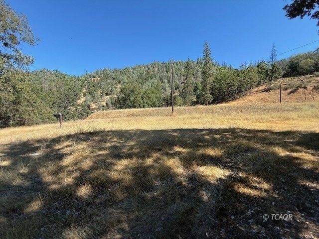 Land for sale in Douglas City, California