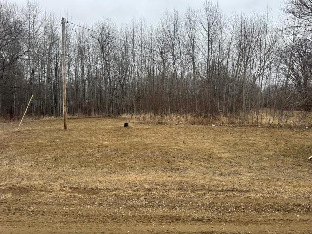 Land for sale in Beltrami, Minnesota