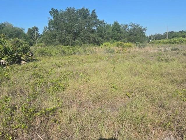 Land for sale in Avon Park, Florida