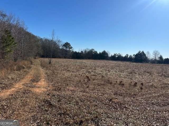 Land for sale in Good Hope, Georgia