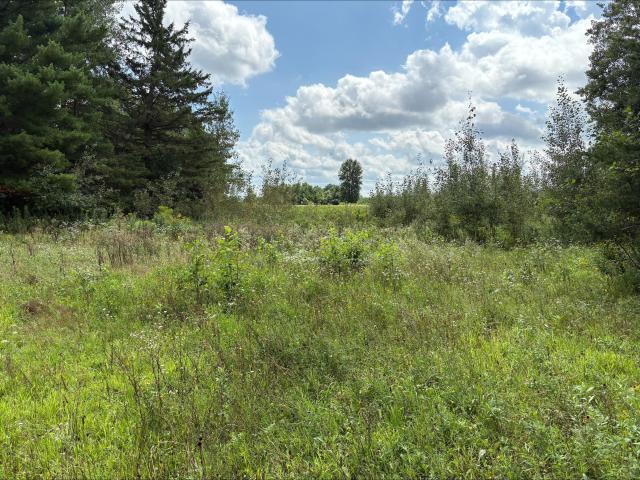 Land for sale in Cedar Lake, Wisconsin