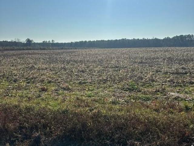 Land for sale in Chadbourn, North Carolina