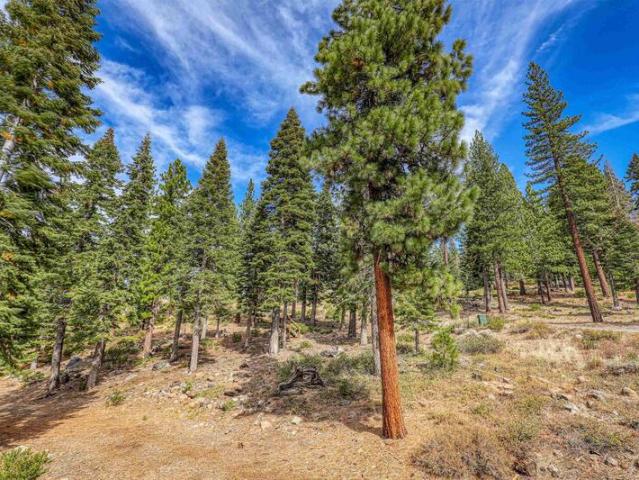 Land for sale in Truckee