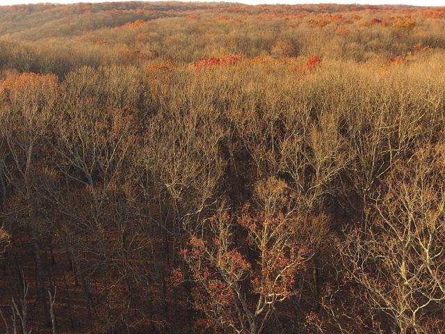 Land for sale in Alabama