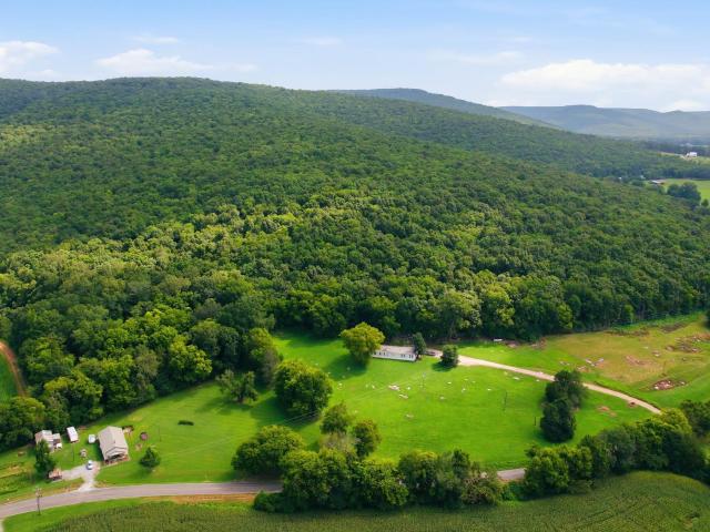 Land for sale in Alabama