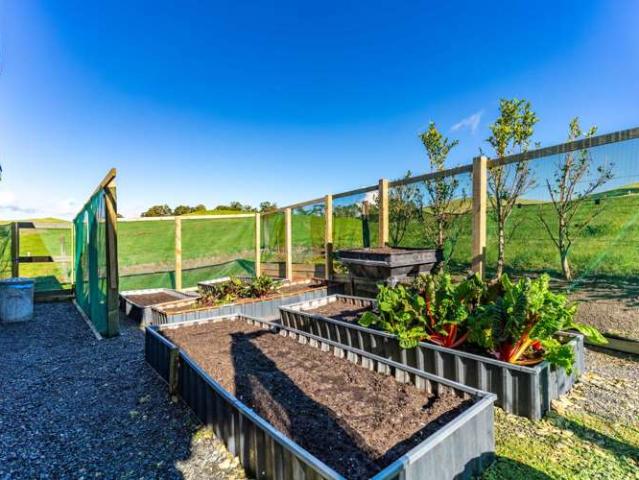 Property for sale in Arapohue, Northland
