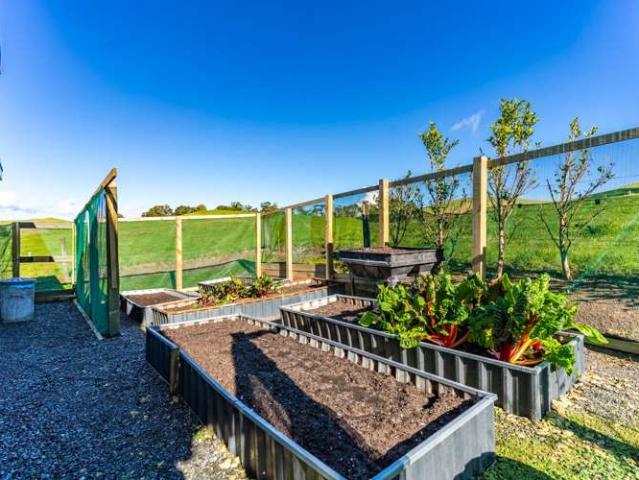 Property for sale in Dargaville, Kaipara District