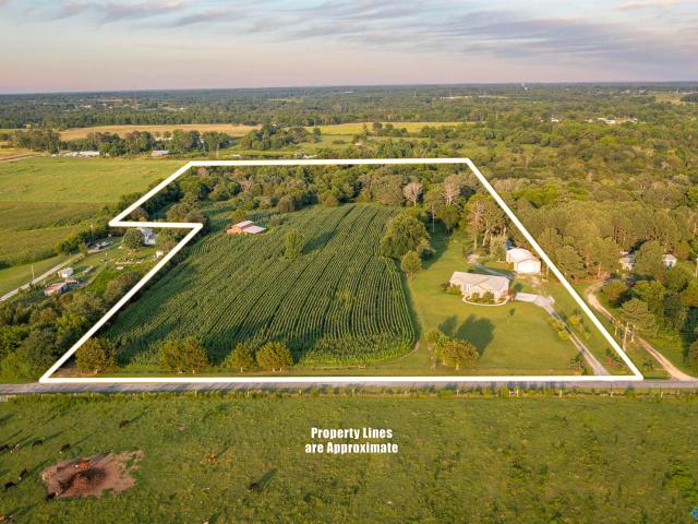 House for sale in Albertville, Alabama