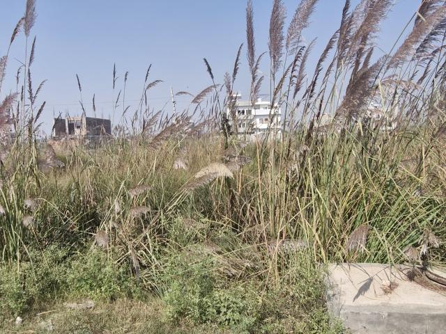 Land for sale in Hariana