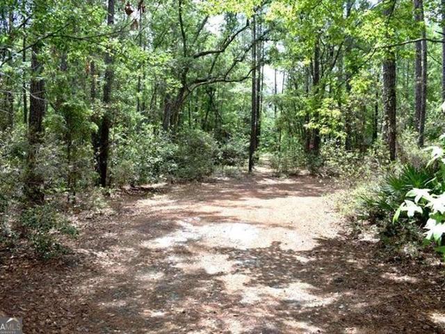 Land for sale in Ellabell, Georgia