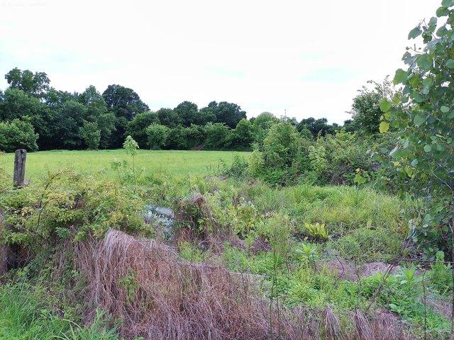 Land for sale in Owenton, Kentucky