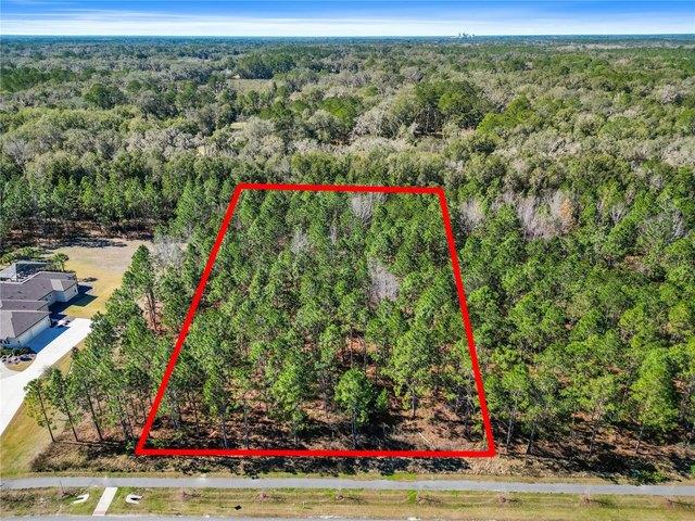 Land for sale in Newberry, Alachua County