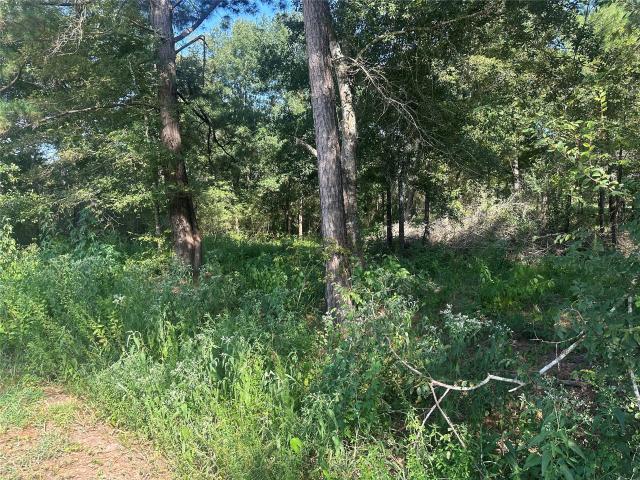 Land for sale in Hempstead, Texas