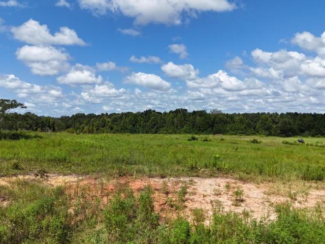 Land for sale in Slocomb, Geneva County