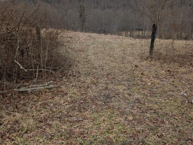 Land for sale in Salvisa