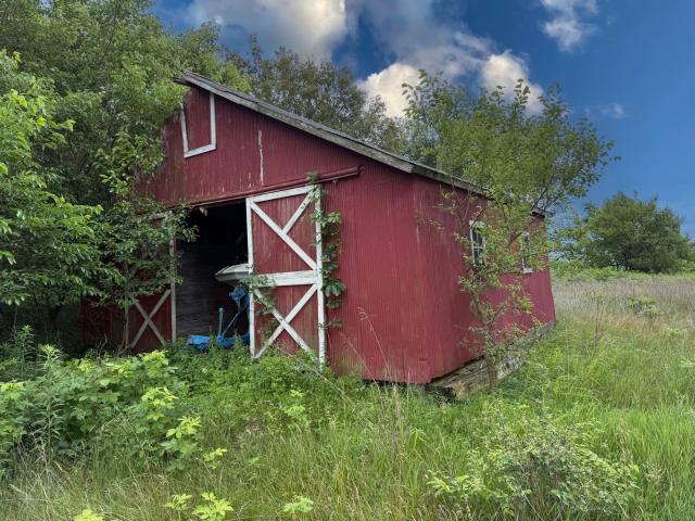 Land for sale in Donovan, Illinois