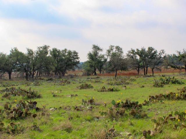 Land for sale in Kerr, Texas