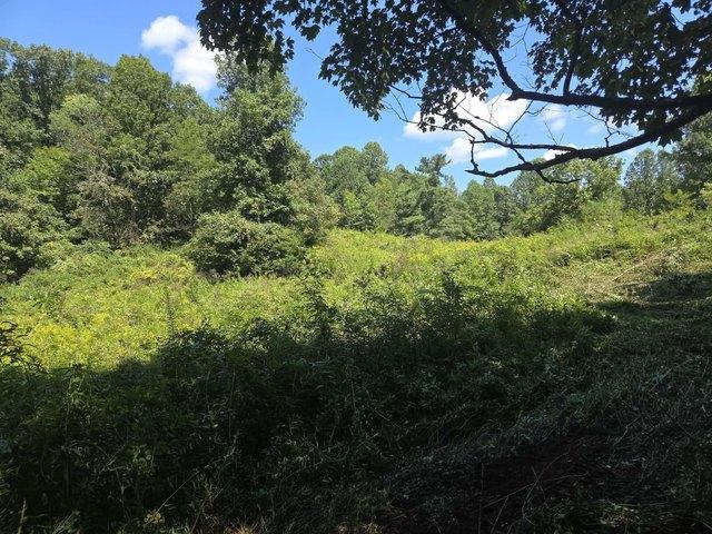 Land for sale in Irvine, Estill County