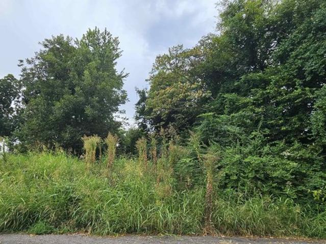 Land for sale in Tennessee