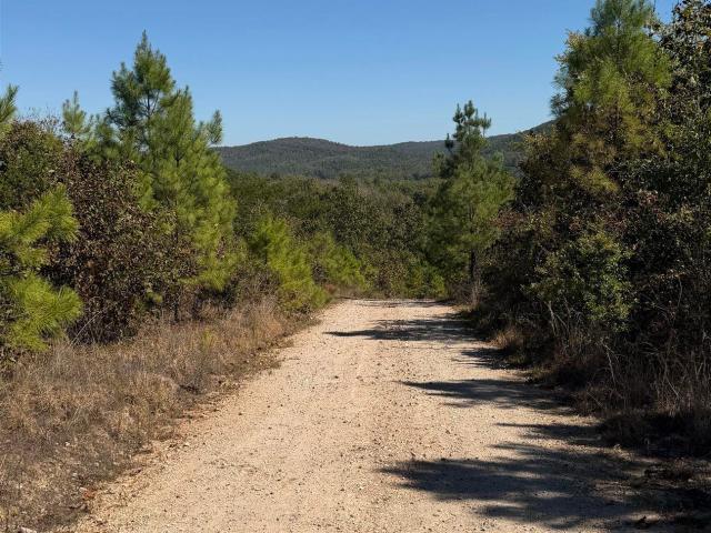 House for sale in Mountain Pine, Garland County