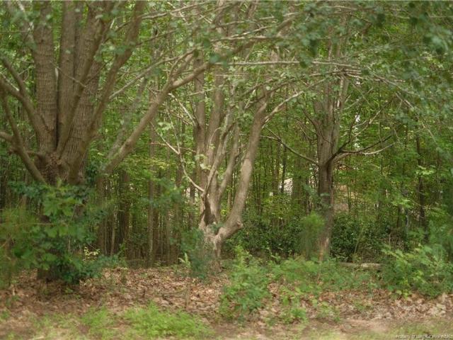 Land for sale in Sanford, North Carolina