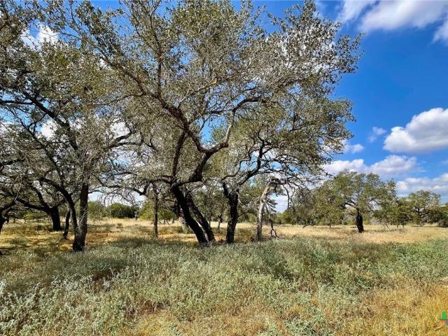 Land for sale in Wilson, Texas