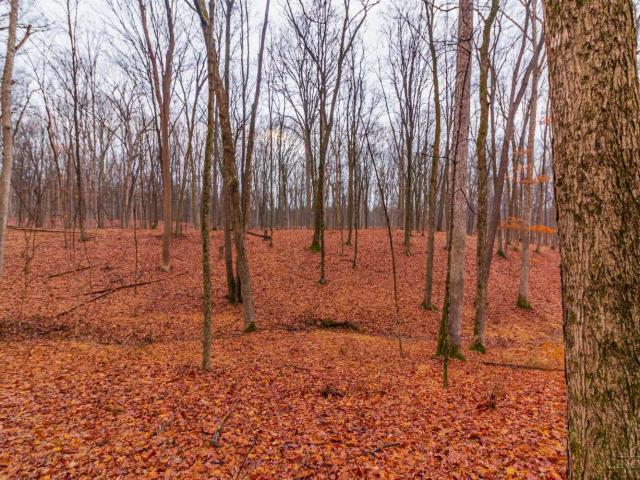 Land for sale in Seaman, Adams County