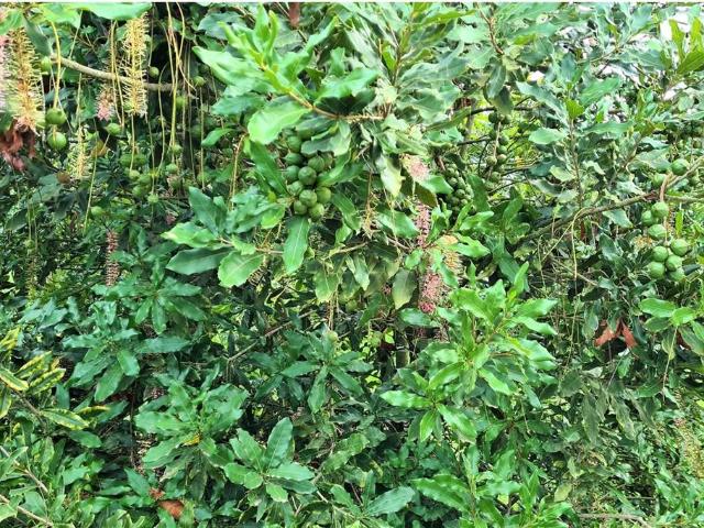 Farm for sale in Ehlanzeni, Mpumalanga