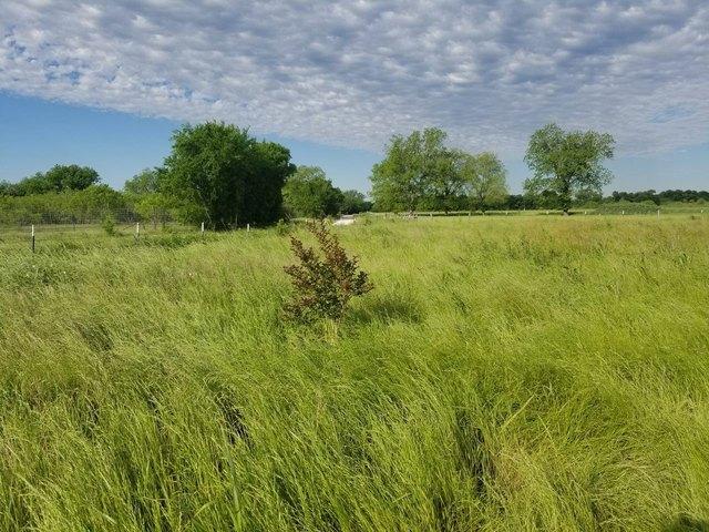Land for sale in Limestone, Texas