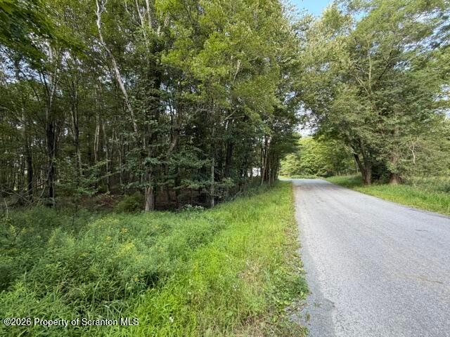 Land for sale in Forest City, Pennsylvania