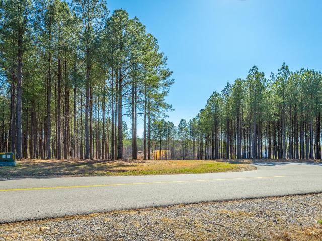 Land for sale in Tennessee