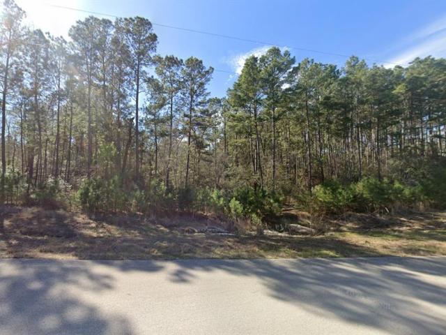 Land for sale in Walker, Texas