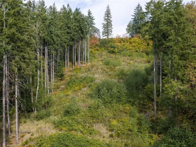 Land for sale in Kalama, Cowlitz County