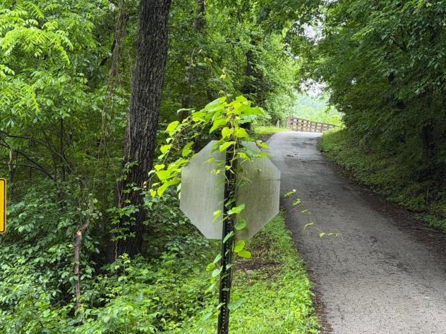 Land for sale in Mount Vernon, Kentucky