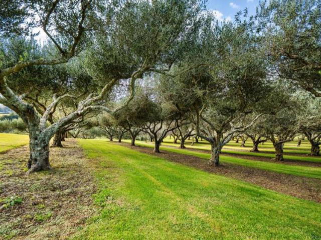 Property for sale in Katikati, Western Bay of Plenty District