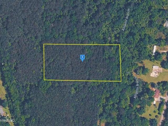 Land for sale in Picayune, Mississippi