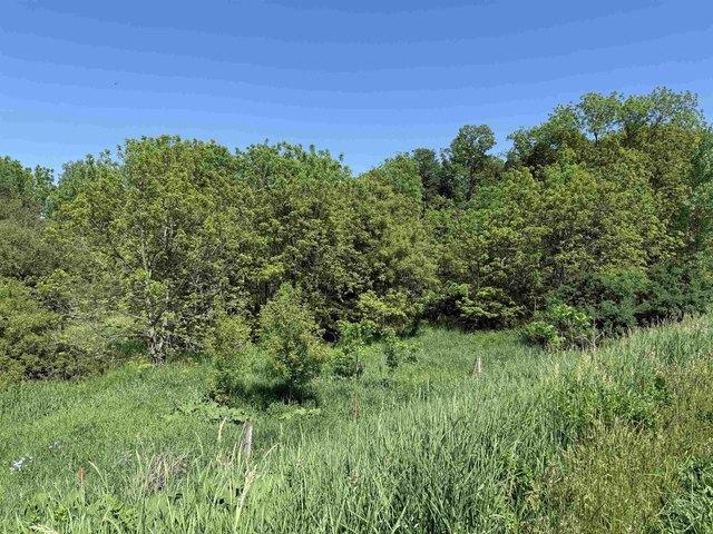 Land for sale in Spillville, Iowa