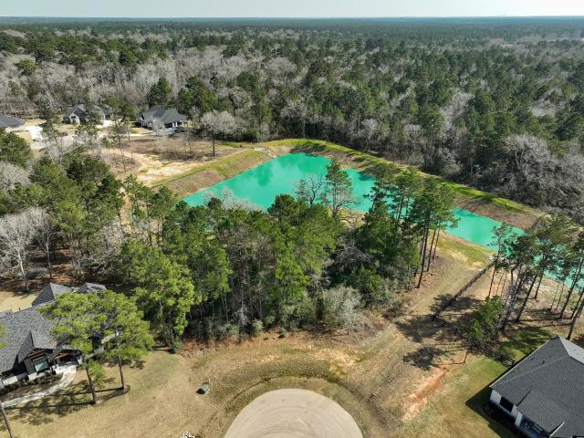 Land for sale in Magnolia, Texas