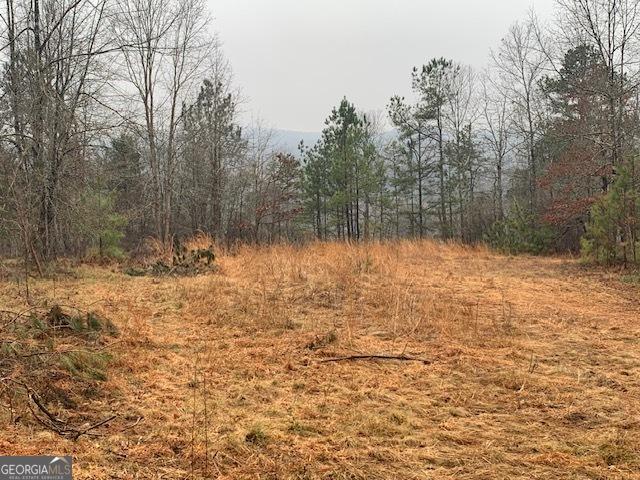 Land for sale in Bowman, Georgia