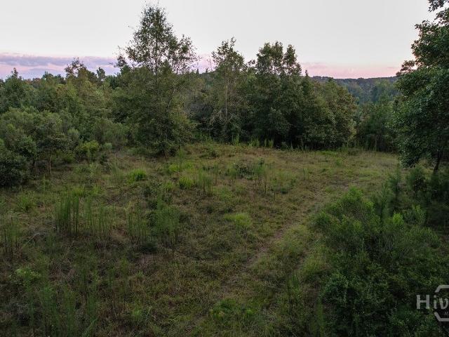 Land for sale in Bowman, Georgia
