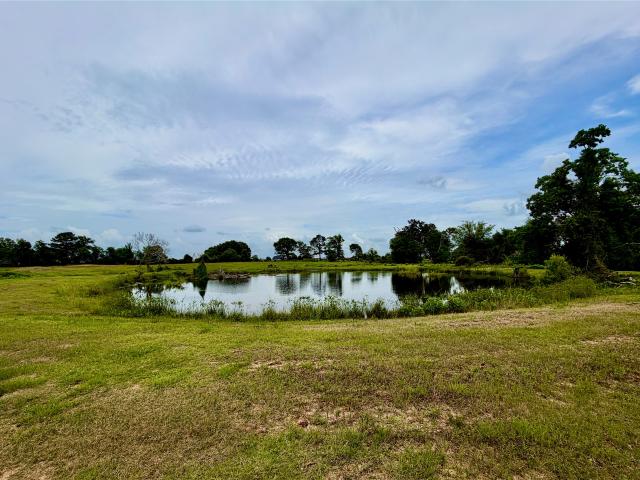 Land for sale in Hempstead, Texas