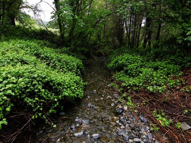 Land for sale in Rogue River, Jackson County