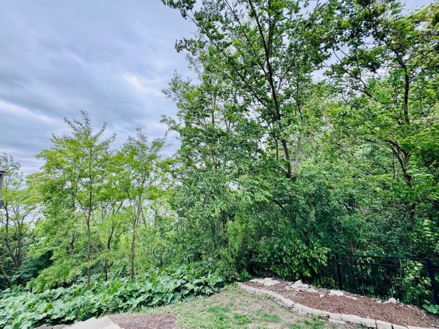 Land for sale in Channahon, Illinois